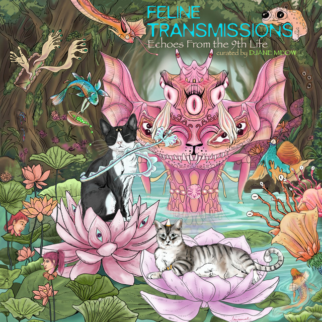 Feline Transmissions - Echoes From The 9th Life by Djane Meow cover