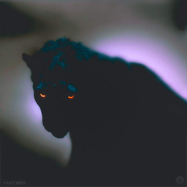 Onyx cover art