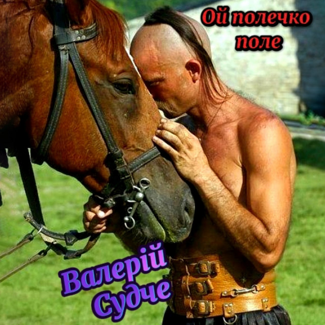 Обкладинка: Ой, полечко, поле — Валерій Судче