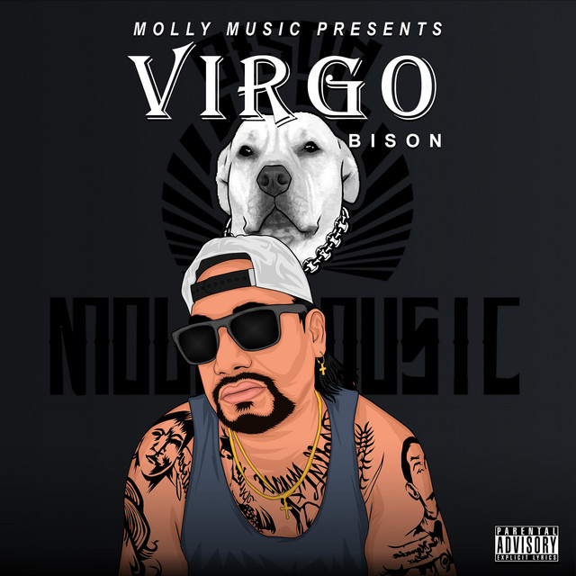 VIRGO cover art