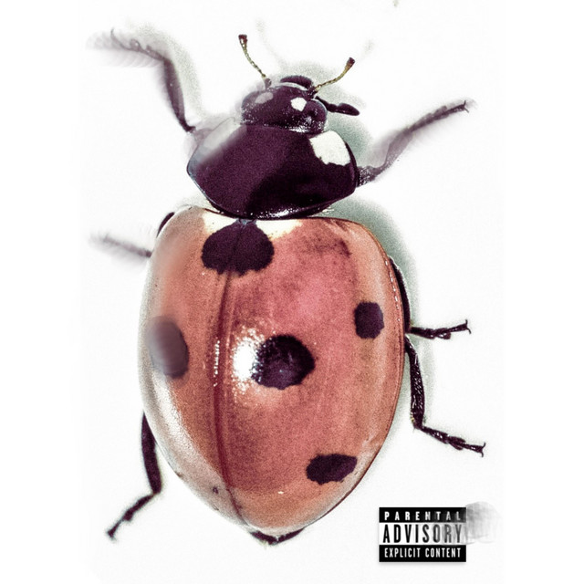 LOVEBUG cover art
