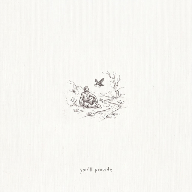 You'll Provide album image
