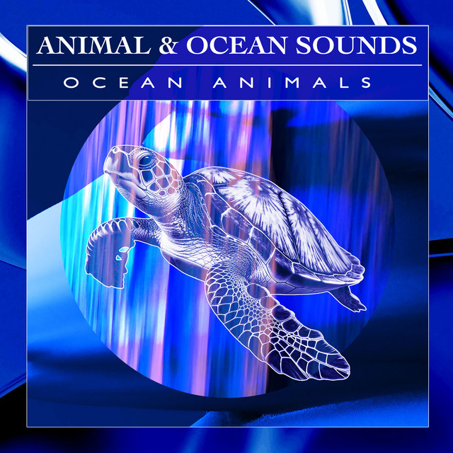 Animal & Ocean Sounds cover art