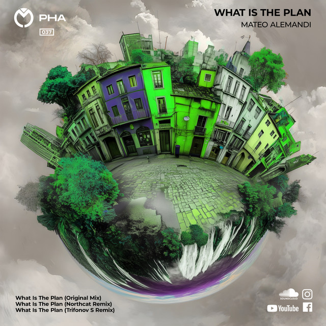 What Is the Plan - Trifonov S Remix cover art