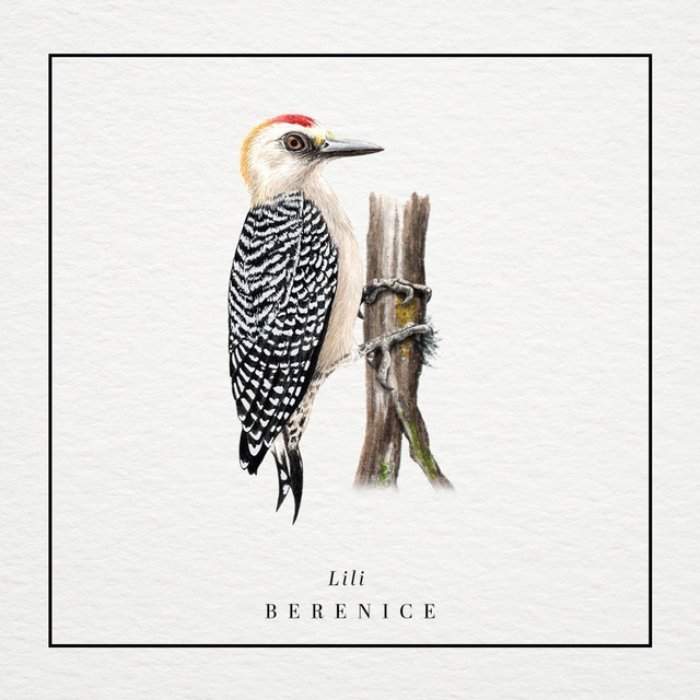 Lili
