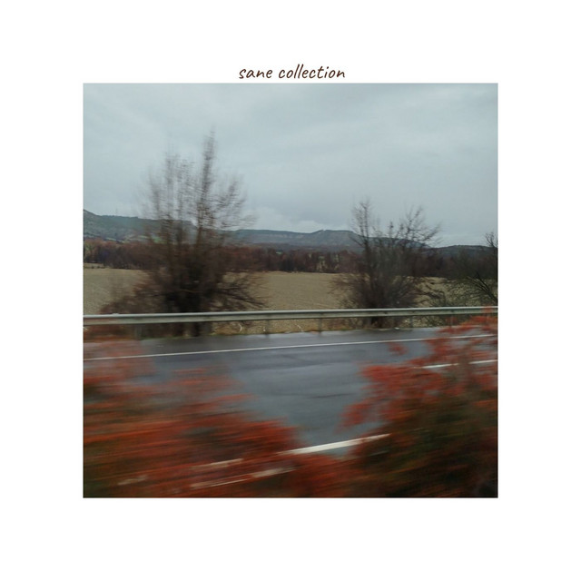 sane collection cover art