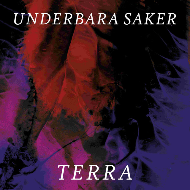 Underbara saker cover art