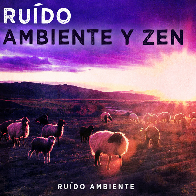 Ruído Ambiente y Zen cover art