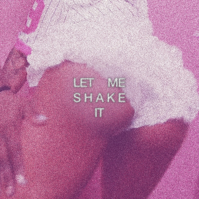 Let Me Shake It