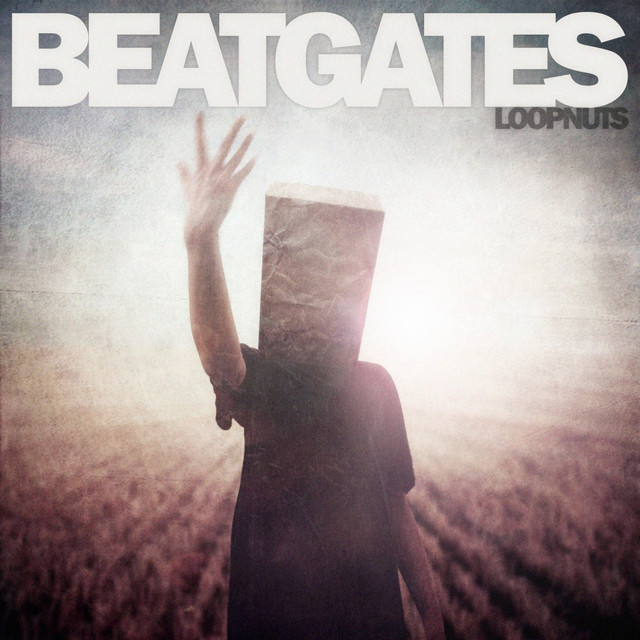 Loopnuts cover