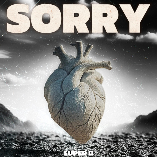 Sorry cover