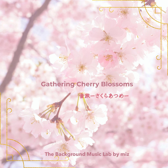 Gathering Cherry Blossoms 音旅ーさくらあつめー ‑「アルバム」by miz