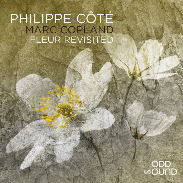 Fleur Revisited cover art