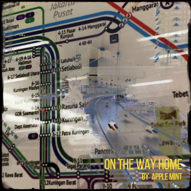 On The Way Home cover