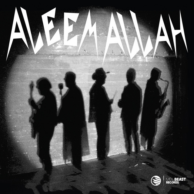 Aleem Allah عليم الله (Galbi Wadani Lawain قلبي وداني لوين) cover