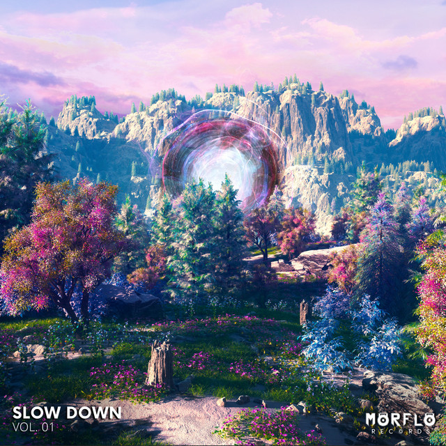 Fly cover art