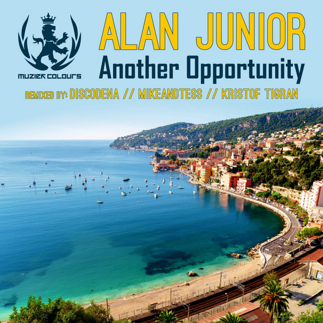 Another Opportunity cover art