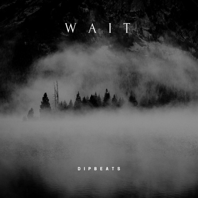 Wait cover art