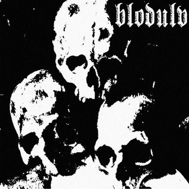 Blodulv photo