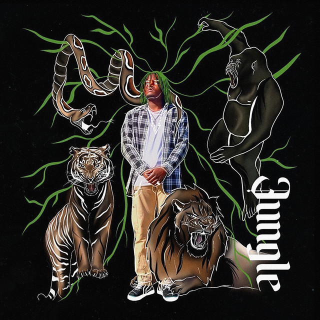Jungle