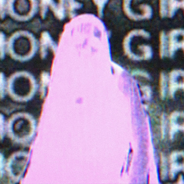 Money Girl