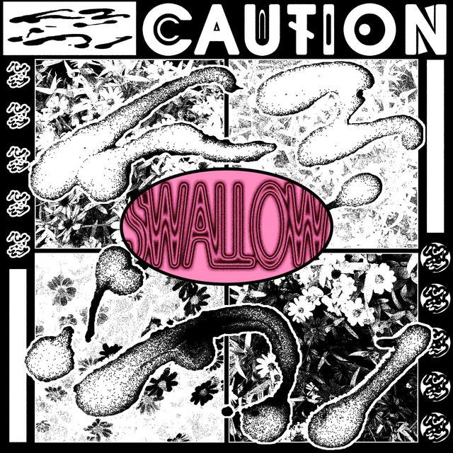 Swallow