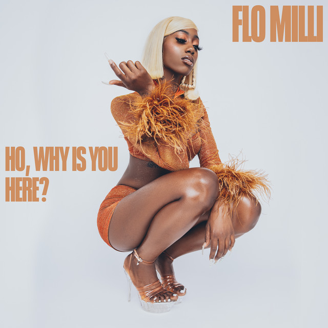 Ho, why is you here ? cover art