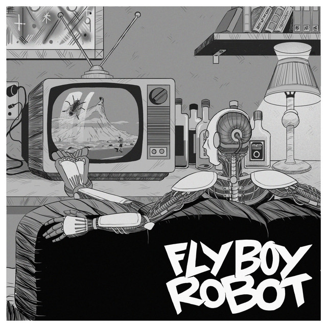 FLY BOY ROBOT cover art