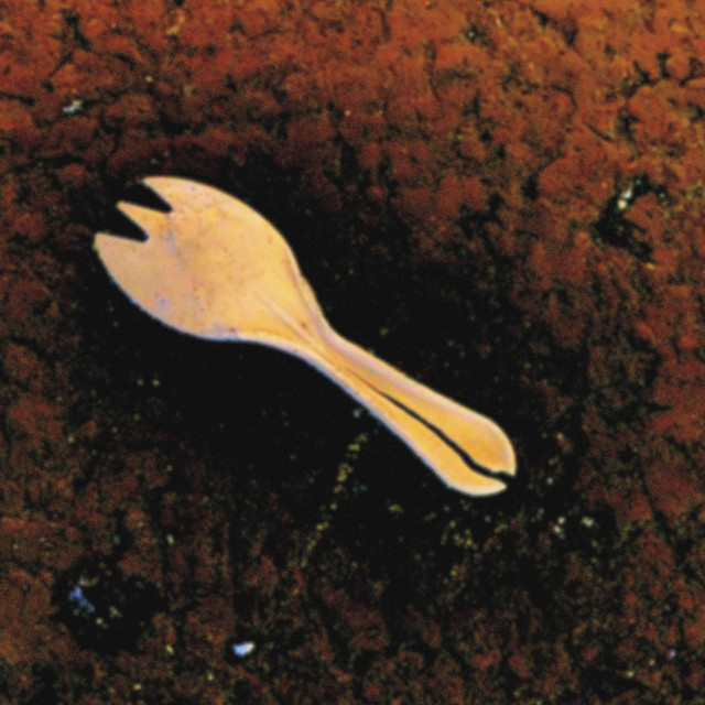 a cover art