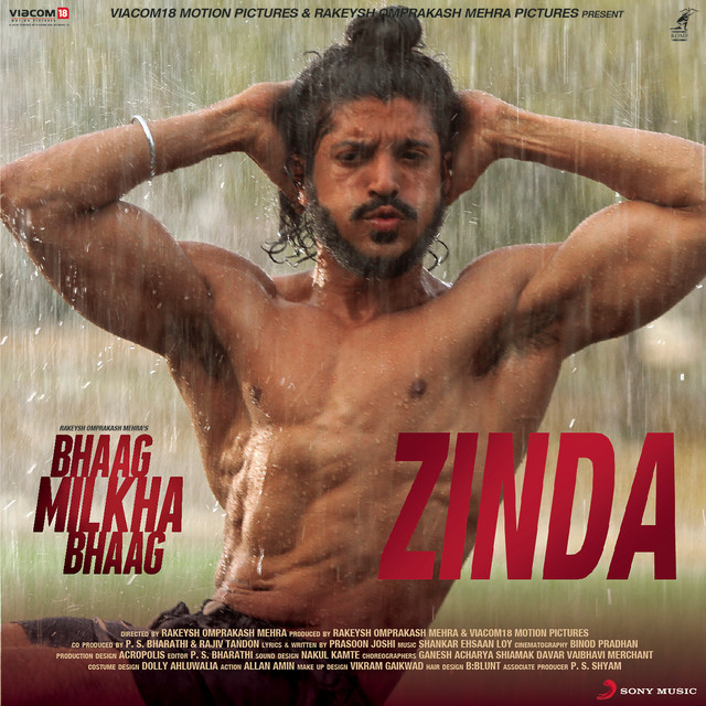Zinda cover art