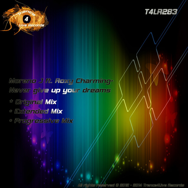 Never Give Up Your Dreams cover art
