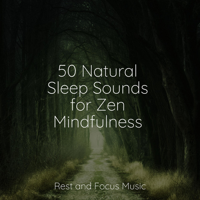 50 Natural Sleep Sounds for Zen Mindfulness - Album by Zen Meditate ...