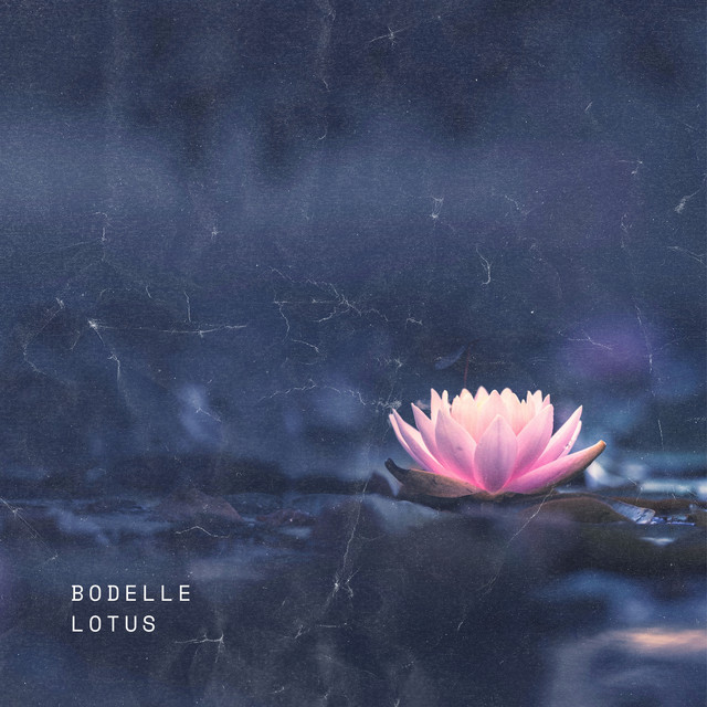 Lotus cover art