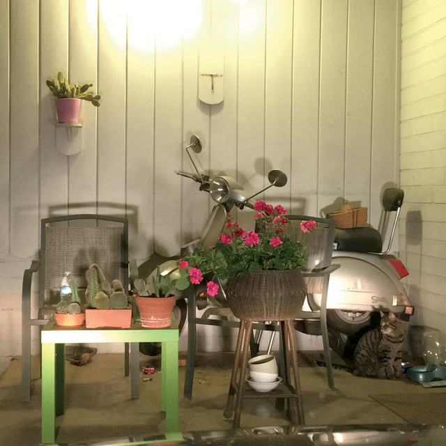 Repeat #4 AKA Desert Plants and Scooter in Carport album image