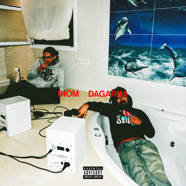 Inom dagarna