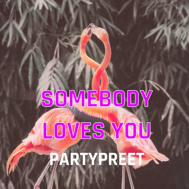 Somebody Loves You cover art