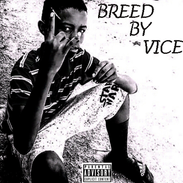 Vice