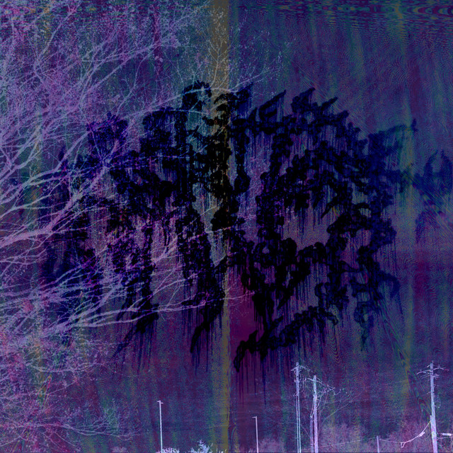 saturnalia cover art