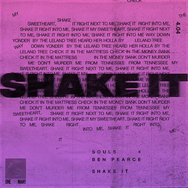 Shake It (Ben Pearce Remix)