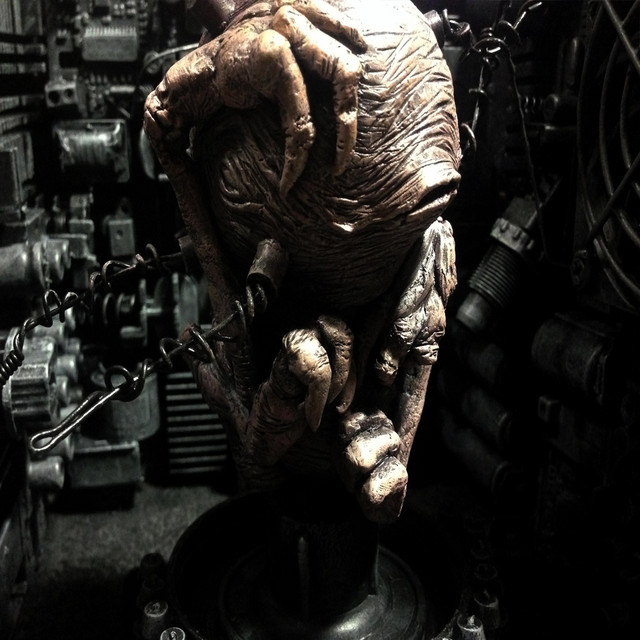 umbillicus cover art