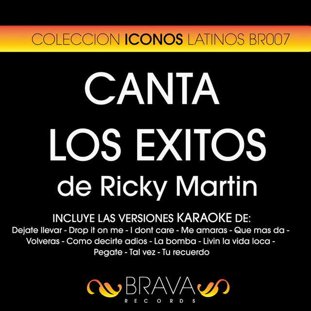 Canta los Exitos de Ricky Martin cover art
