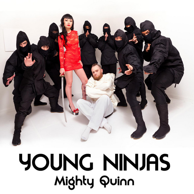 Young Ninjas cover art