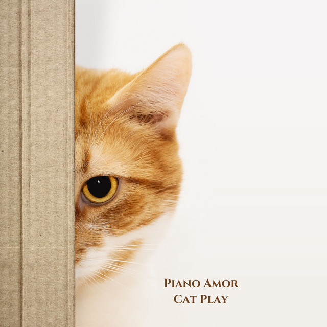Cover art: Cat Play — Piano Amor
