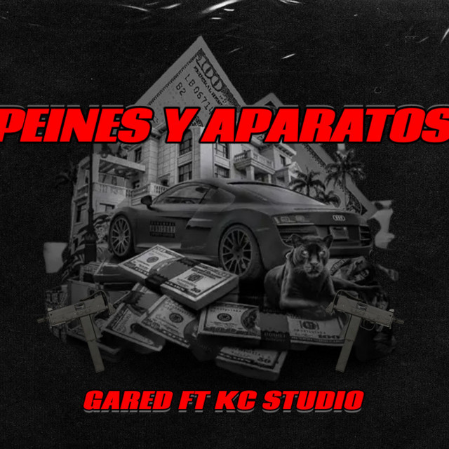 Peines y Aparatos