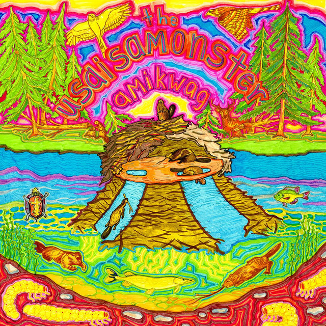 Amikwag cover art