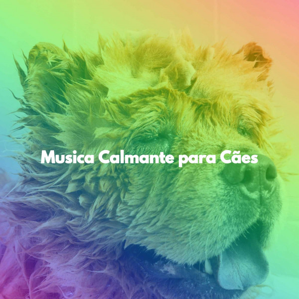 Musica Calmante para Cães - Album by Dog Relaxation | Spotify