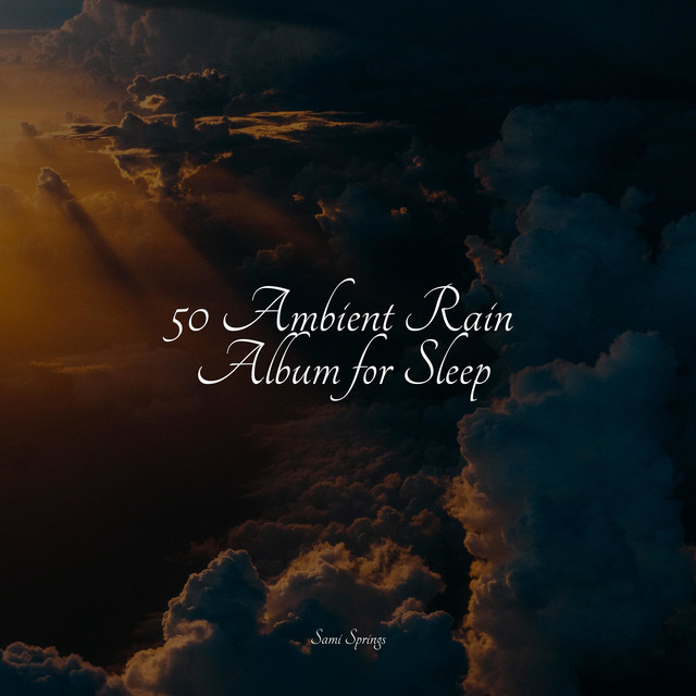 50 Ambient Rain Album for Sleep - Album by Musique Zen Garden | Spotify