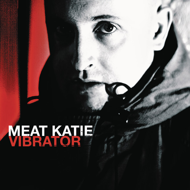 Vibrator (Continuous DJ Mix by Meat Katie) cover art