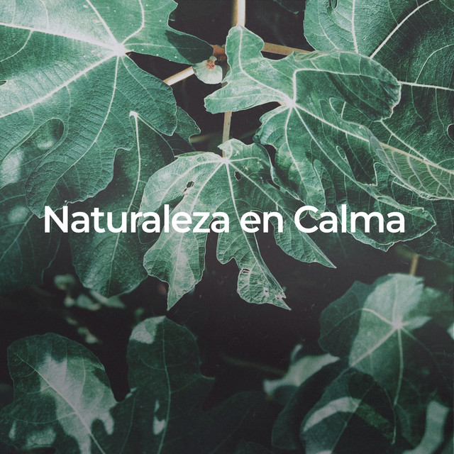 Música ambiental relajante