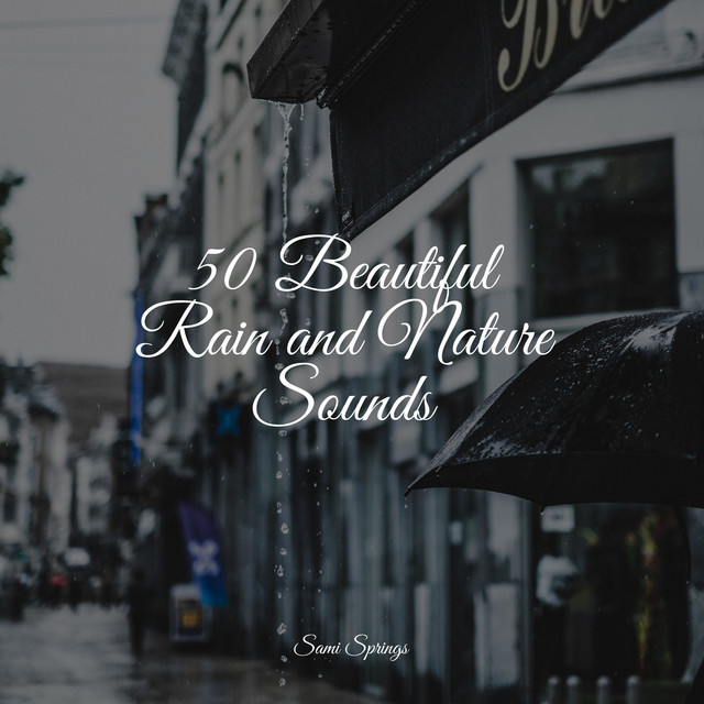 50 Beautiful Rain and Nature Sounds - Album by Water Spa | Spotify